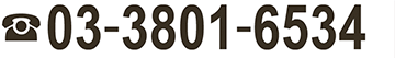03-3801-6534